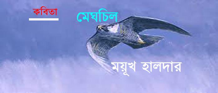 মেঘচিল