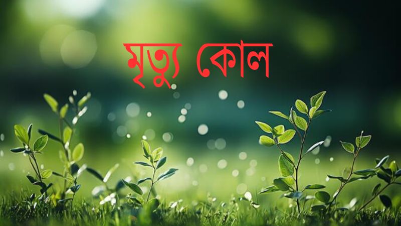 মৃত্যু কোল