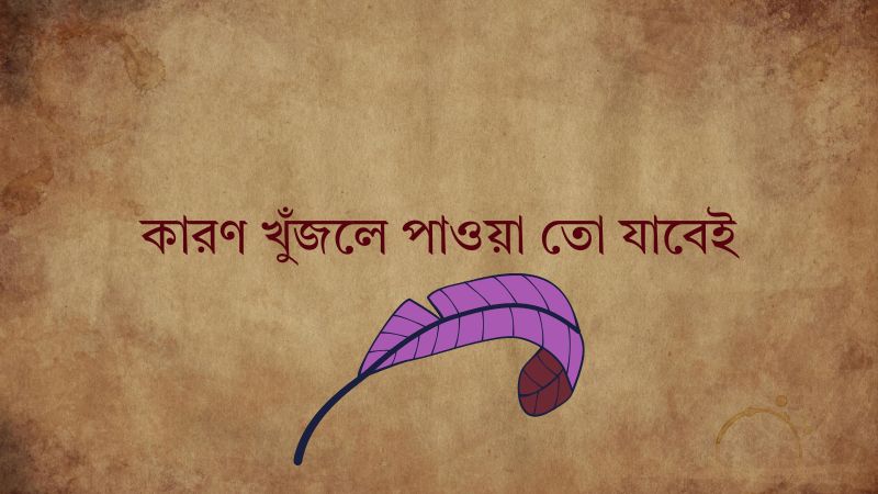 কারণ খুঁজলে পাওয়া তো যাবেই