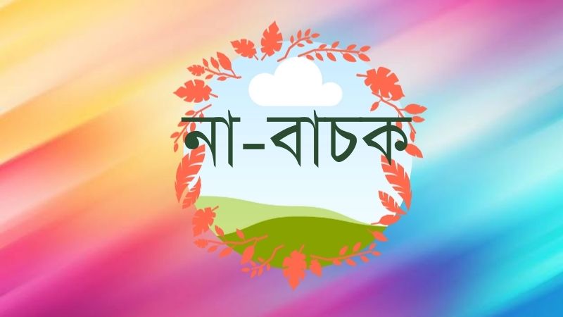 না-বাচক