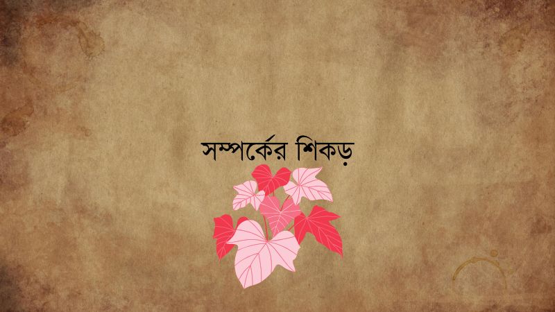 সম্পর্কের শিকড়