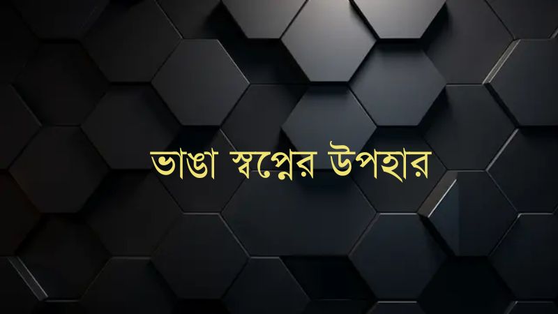 ভাঙা স্বপ্নের উপহার