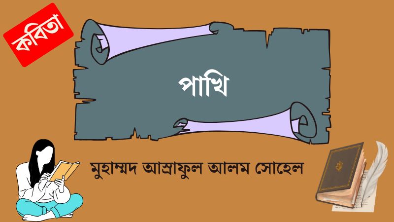 পাখি