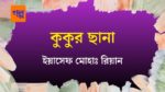kukur chhana