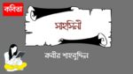 sahosini